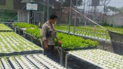 Aksi Nyata Bhabinkamtibmas Lombok Barat Dukung Ketahanan Pangan