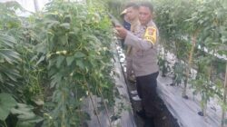 Kuatkan Ketahanan Pangan, P4S Lombok Barat Dorong Kompetensi Petani