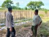 Polri Ajak Warga Lombok Barat Ubah Lahan Kosong Jadi Sumber Pangan Produktif