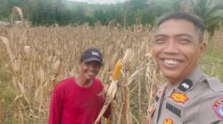 Polres Lombok Barat Aktif Dampingi Petani Tingkatkan Ketahanan Pangan