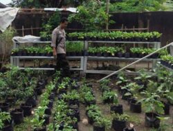 Polsek Labuapi Dorong Ketahanan Pangan di Desa Bengkel