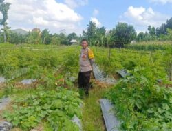 Polsek Gerung Ajak Warga Beleke Garap Lahan Tidur