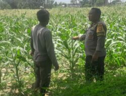 Bhabinkamtibmas Bagik Polak Barat Kawal Ketahanan Pangan