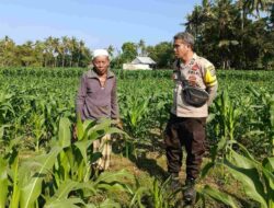 Polsek Batulayar Dorong Swasembada Pangan di Desa Sandik