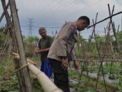 Bhabinkamtibmas Kuranji Dalang Edukasi Pertanian Warga