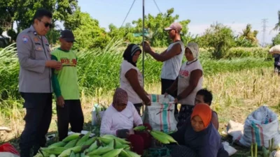 Dukung Program Pemerintah, Polri Dorong Swasembada Pangan di NTB
