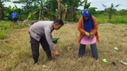 Sinergi Polsek Labuapi dan Warga Wujudkan Desa Mandiri Pangan