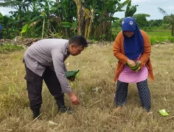 Polri Kawal Ketahanan Pangan di Telagawaru Lombok Barat