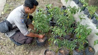 Sinergi Polri dan Warga Bengkel Kelola Lahan Produktif
