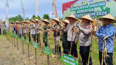 Sinergi Polri dan Pemprov NTB: Sukseskan Panen Jagung Kuartal I 2026