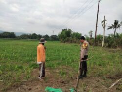 Polsek Hu’u Pantau Lahan Jagung Warga di Desa Cempi Jaya, Dukung Ketahanan Pangan Nasional