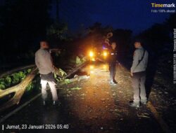Pastikan Jalur Lintas Tetap Aman, Polsek Labuhan Badas Amankan TKP Pohon Tumbang di Karang Dima