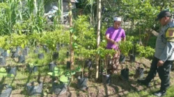 Polsek Batulayar Dorong Warga Manfaatkan Lahan Pekarangan