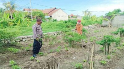 Polri Dampingi Warga Dusun Bantir Budidaya Palawija di Pekarangan