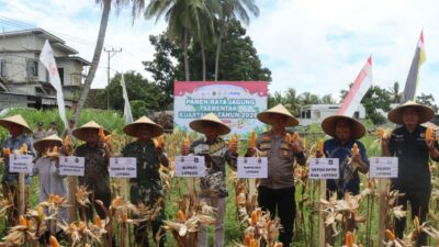 Polres Loteng Ikuti Panen Raya Jagung Serentak Kuartal IV Tahun 2025