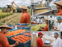Strategi Proses Pengolahan Pertanian Modern Agar Untung Besar
