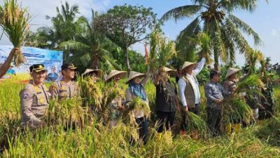 NTB Optimalkan Ketahanan Pangan 2026, Dari Pertanian hingga Perikanan dan Peternakan