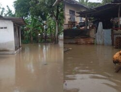 Banjir Sekotong Lombok Barat, 182 KK Terdampak, BPBD NTB Lakukan Penanganan Cepat