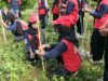 PMI Lombok Barat Tanam Ratusan Pohon Bersama PMR, Gaungkan Kepedulian Lingkungan dan Kemanusiaan