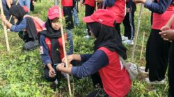 PMI Lombok Barat Tanam Ratusan Pohon Bersama PMR, Gaungkan Kepedulian Lingkungan dan Kemanusiaan