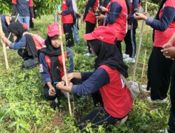 PMI Lombok Barat Tanam Ratusan Pohon Bersama PMR, Gaungkan Kepedulian Lingkungan dan Kemanusiaan